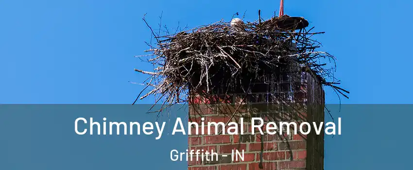  Chimney Animal Removal Griffith - IN