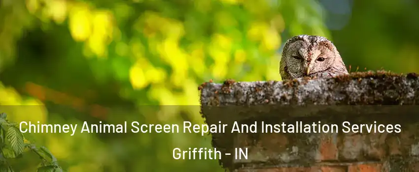  Chimney Animal Screen Repair And Installation Services Griffith - IN