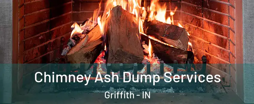  Chimney Ash Dump Services Griffith - IN
