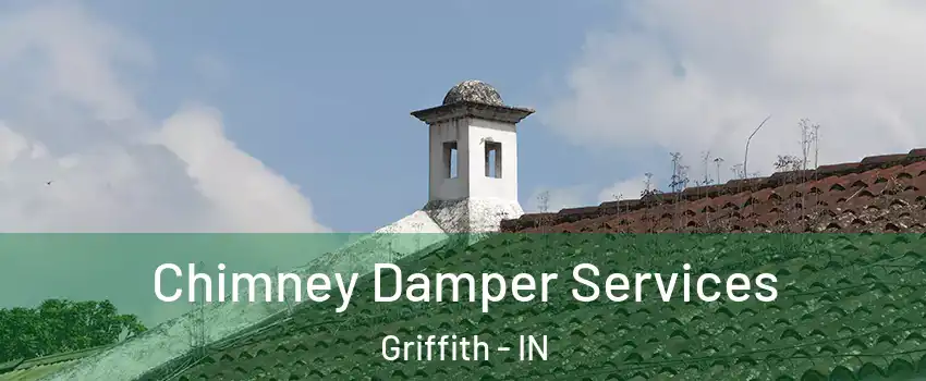  Chimney Damper Services Griffith - IN