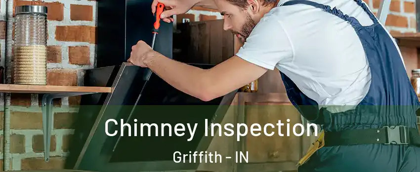  Chimney Inspection Griffith - IN