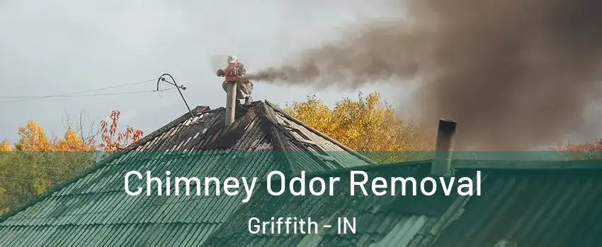  Chimney Odor Removal Griffith - IN