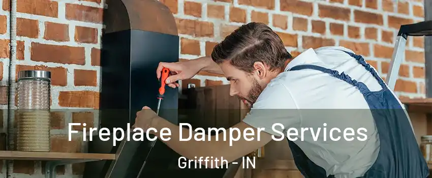  Fireplace Damper Services Griffith - IN