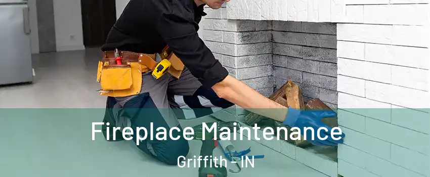  Fireplace Maintenance Griffith - IN