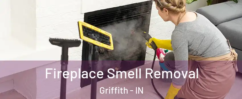  Fireplace Smell Removal Griffith - IN