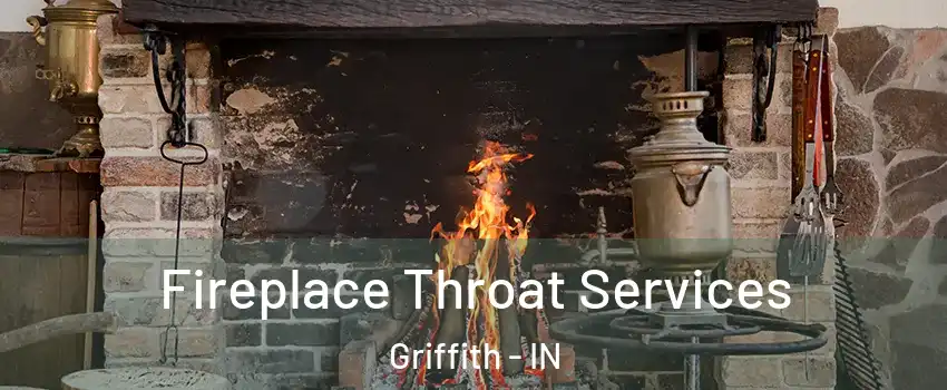  Fireplace Throat Services Griffith - IN