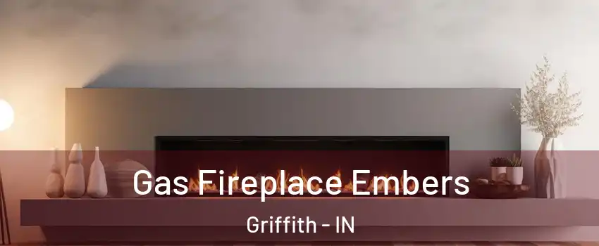  Gas Fireplace Embers Griffith - IN