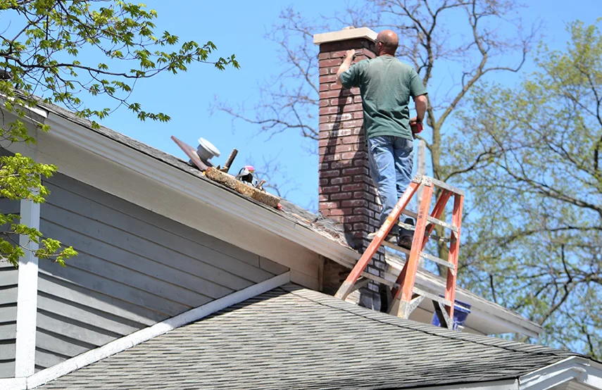 Chimney & Fireplace Inspections Services in Griffith, IN