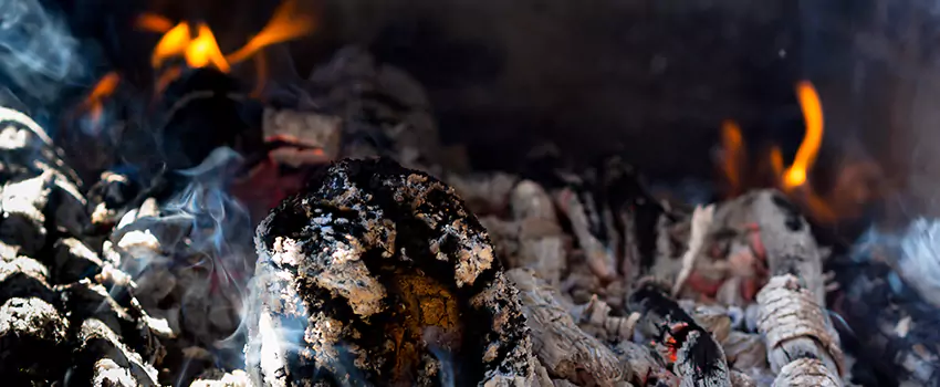 Creosote Removal Experts in Griffith, IN