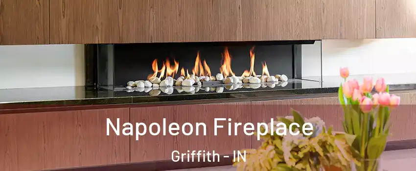  Napoleon Fireplace Griffith - IN